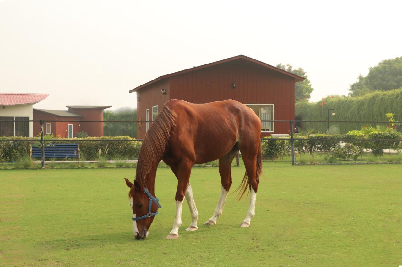 The Bageecha Bed & Breakfast วรินดาวัน ภายนอก รูปภาพ